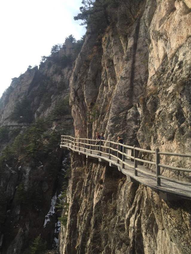 科泰風(fēng)采